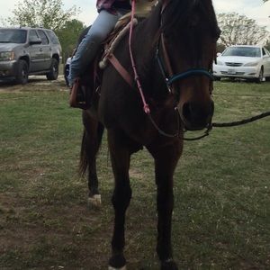 Meet your Posher, Naye